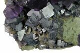 Cubic Fluorite, Galena and Sphalerite Association - Elmwood Mine #153331-1